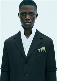 ALEXANDRE SEWA image