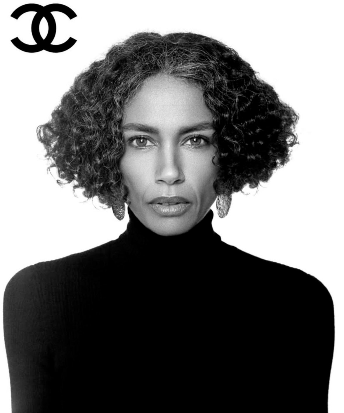 Stephanie Cavalli image