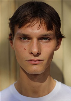 TEO FORTIN image
