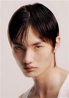WENBO LI image